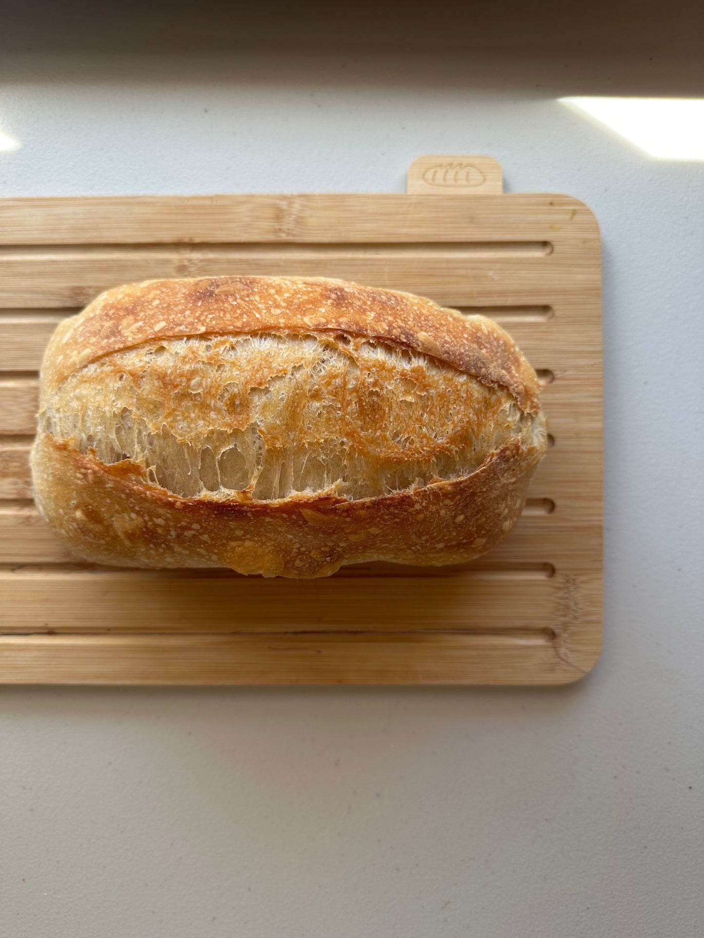 Mad Kneady's Dehydrated Sourdough Starter