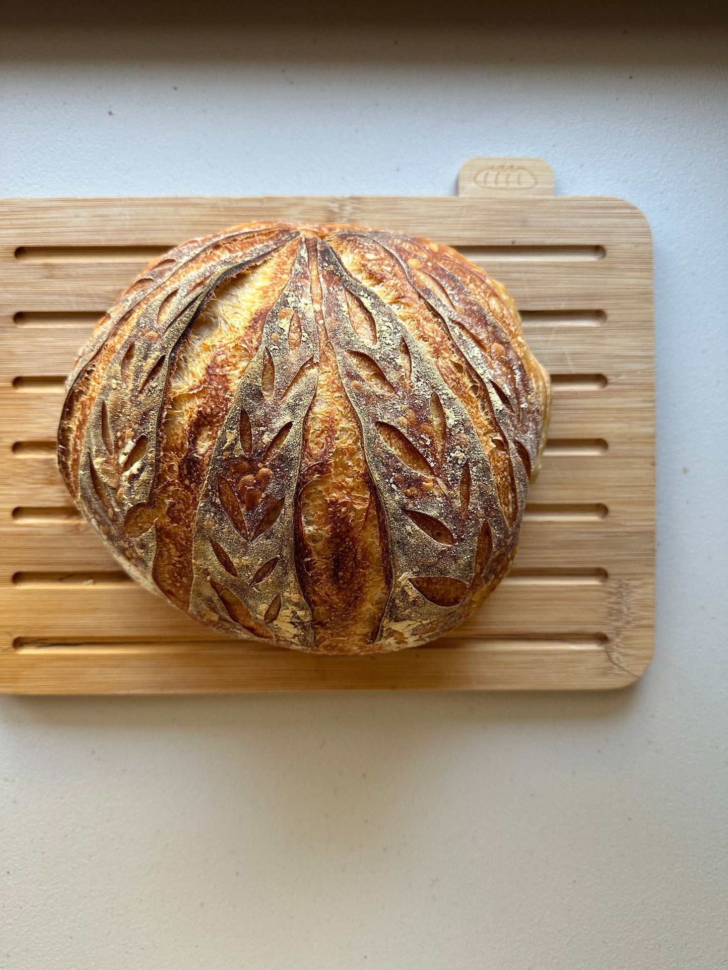 Mad Kneady's Dehydrated Sourdough Starter