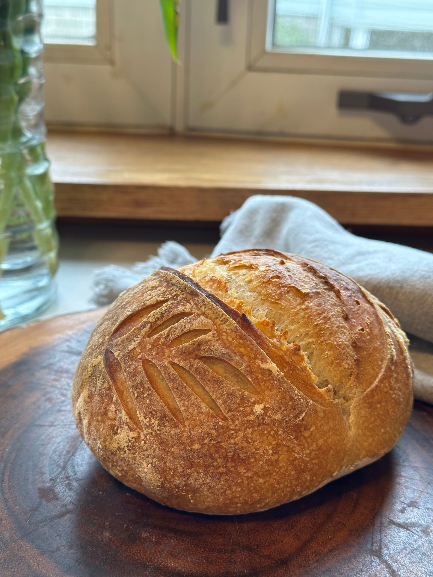 Mad Kneady's Dehydrated Sourdough Starter