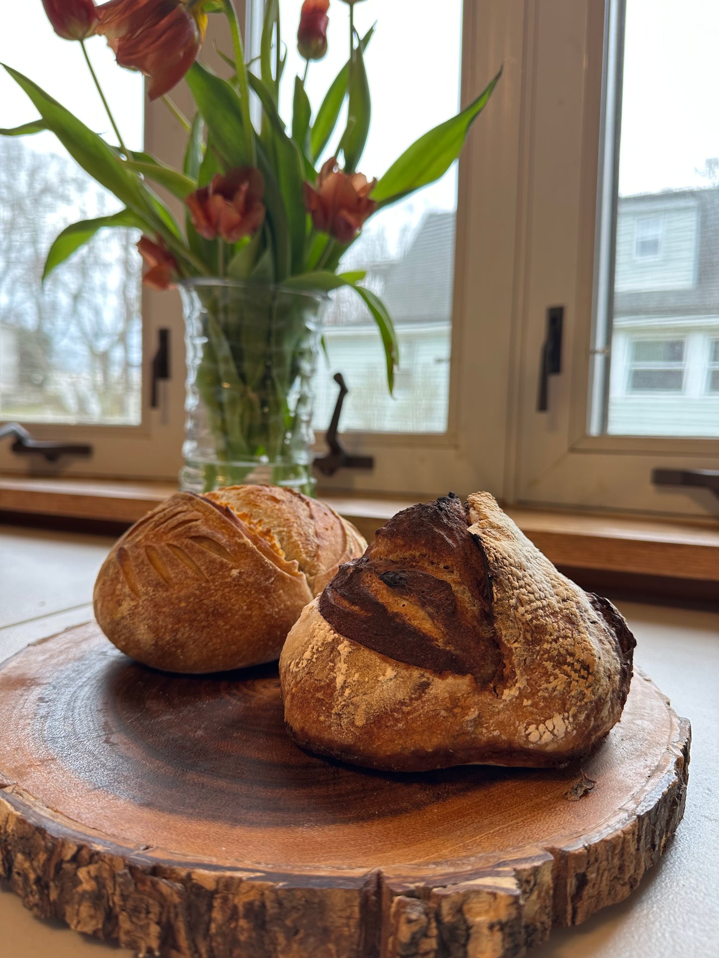 Mad Kneady's Dehydrated Sourdough Starter