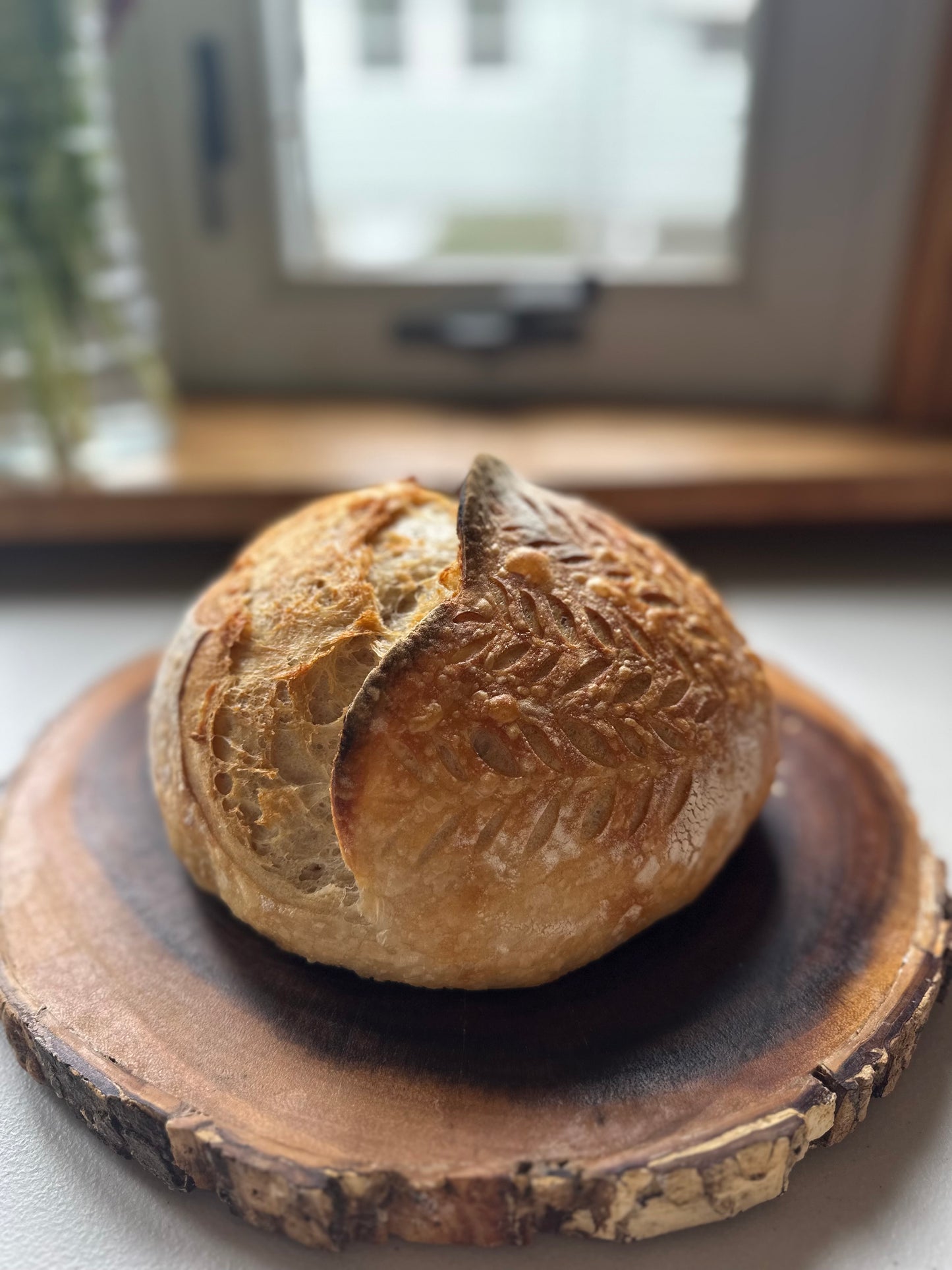 Mad Kneady's Dehydrated Sourdough Starter