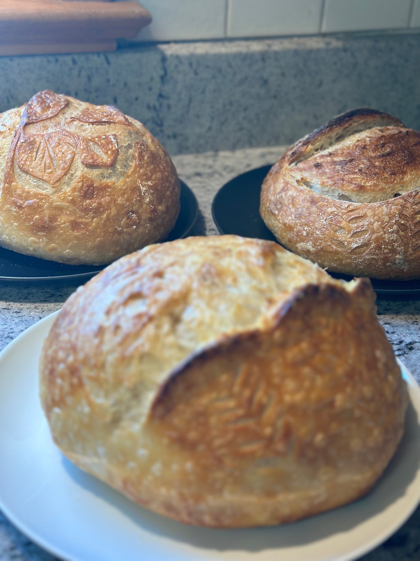 Mad Kneady's Dehydrated Sourdough Starter