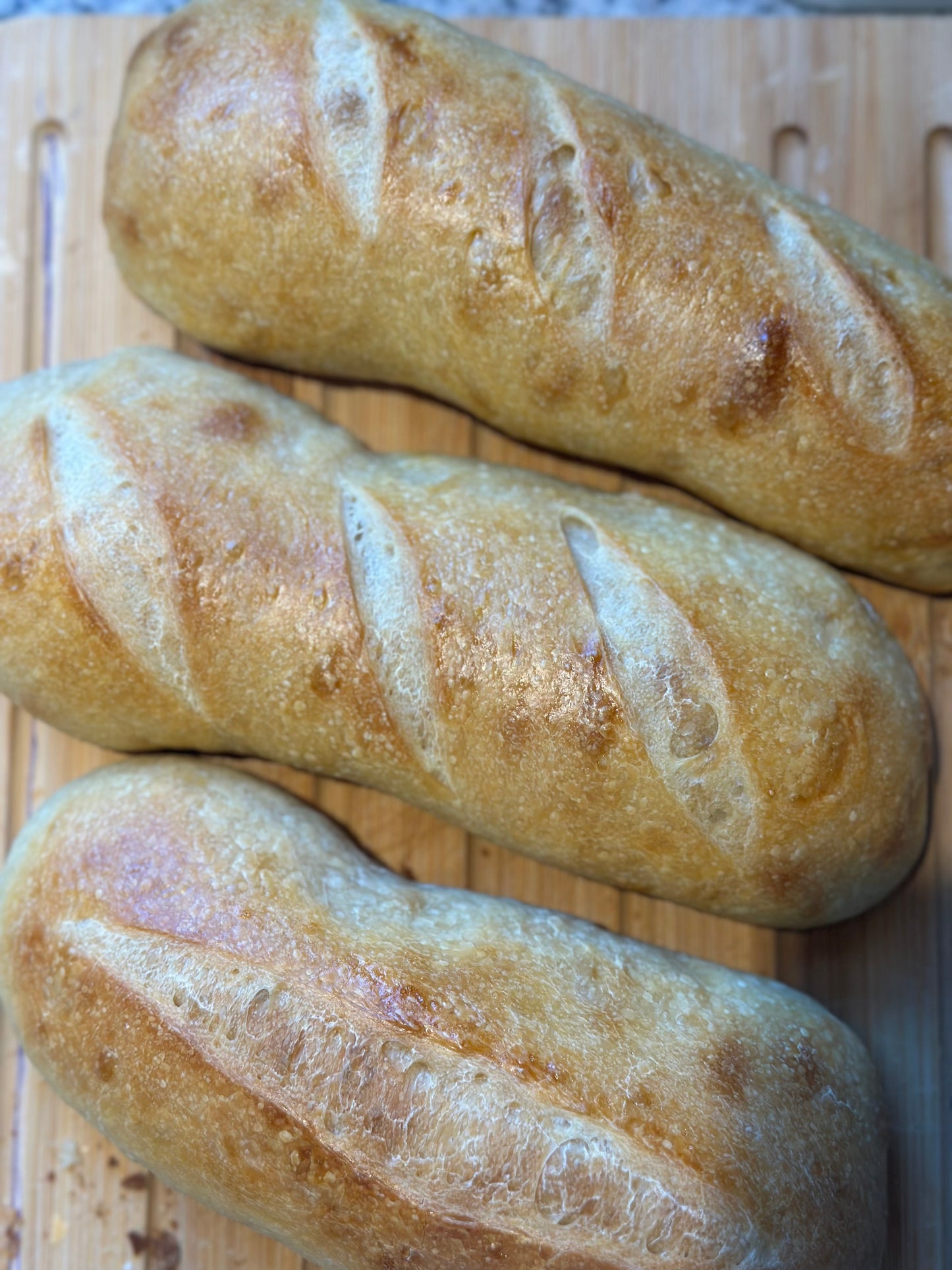 Mad Kneady's Dehydrated Sourdough Starter