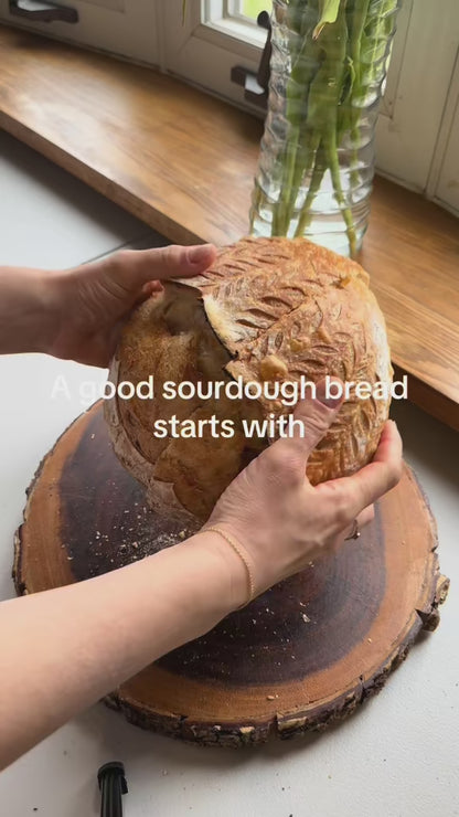 Mad Kneady's Dehydrated Sourdough Starter